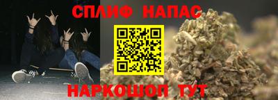 индика Кинель