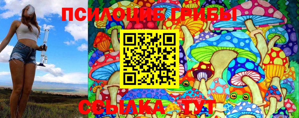 Галлюциногенные грибы Cubensis  как найти наркотики  Камышин  Вход с VPN 