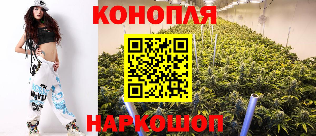 Конопля марихуана Камышин